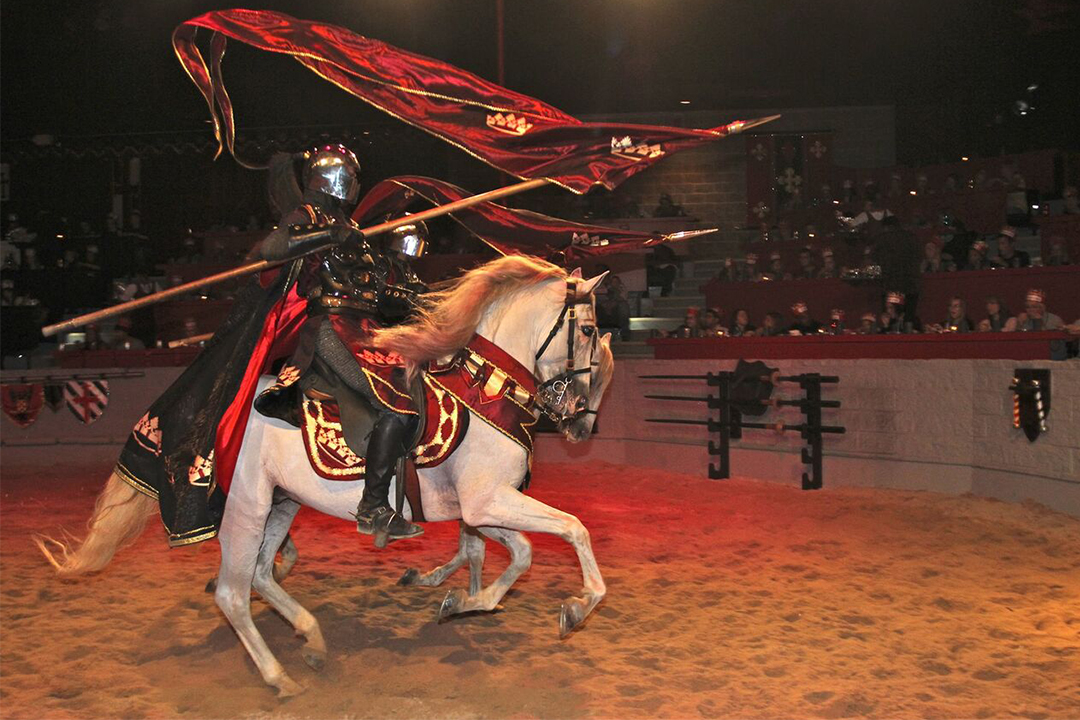 Knight on a horse at Medieval Times Dinner at Tournament