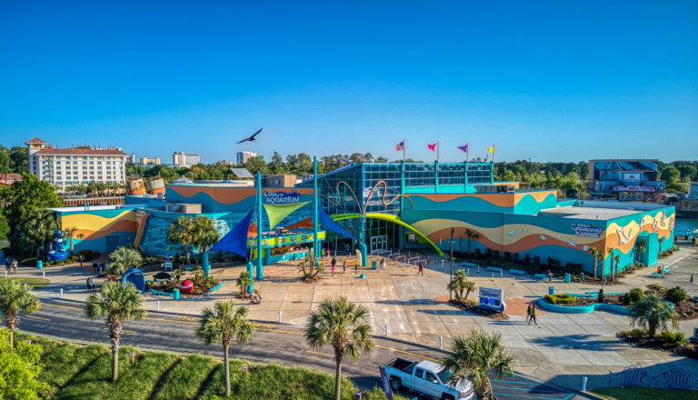 Ripley's Aquarium Myrtle Beach Animal Crossing Ripley’s Aquarium in a Day? Here’s How - The Strand Myrtle Beach