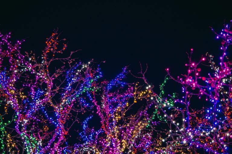 christmas lights on tree