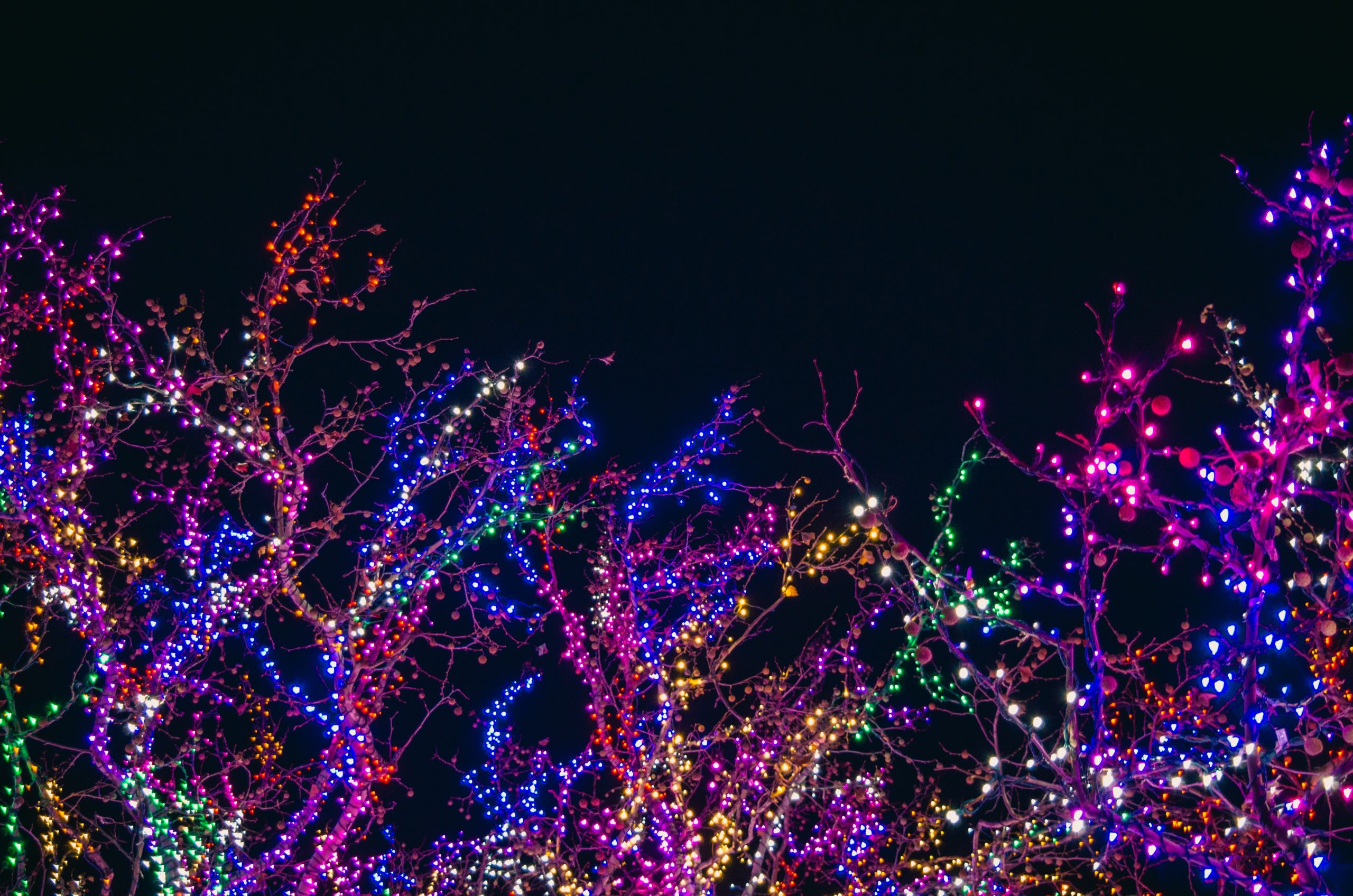 Where to See Christmas Lights on the Grand Strand The Strand Myrtle Beach