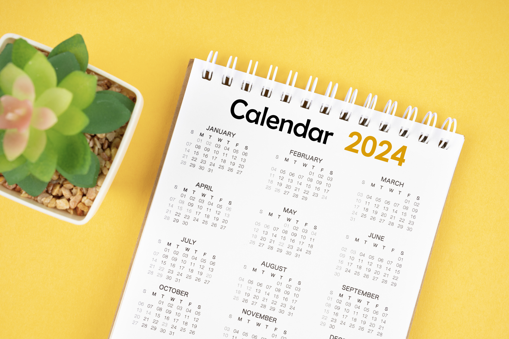 Events in Myrtle Beach January, February, and March 2024 The Strand