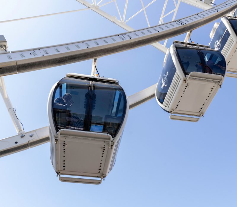 FAM_Skywheel (14) (2)