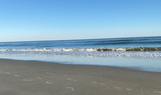 Beach and the ocean